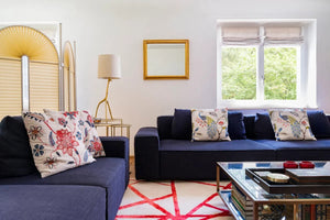 Furniture Care & Maintenance